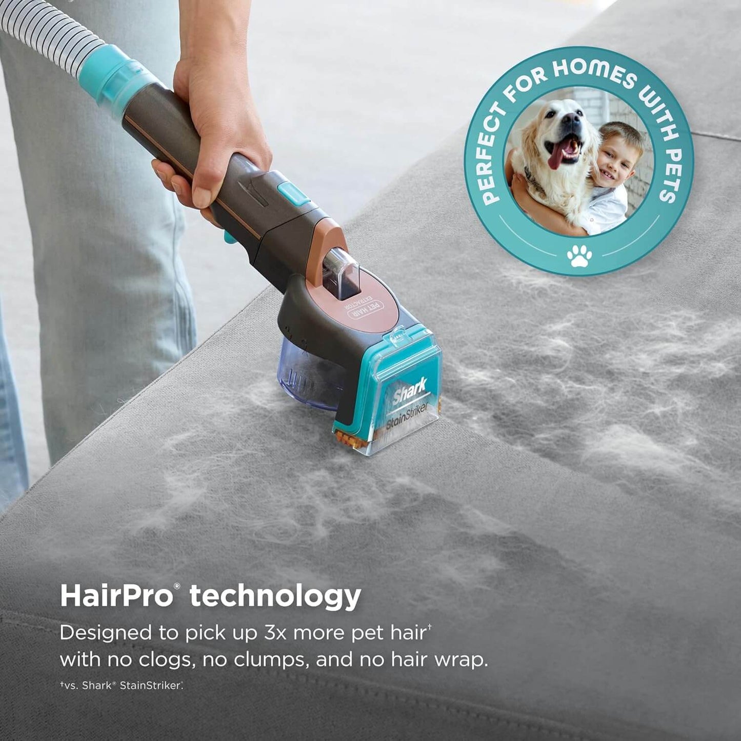 StainStriker w/ HairPro + 4 Tools
